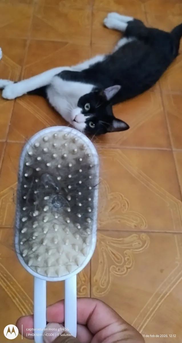 Foto enviada por Lucía Cabrera